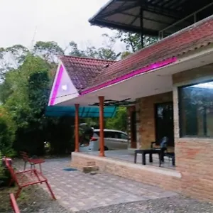 The Butterfly Vagamon