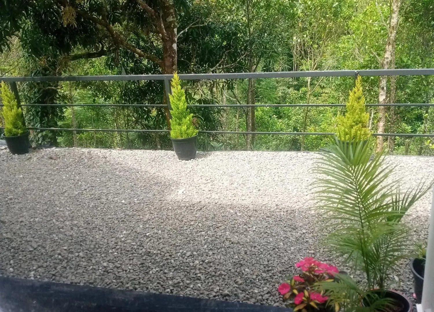 Heaven Meadows Homestay Vagamon India